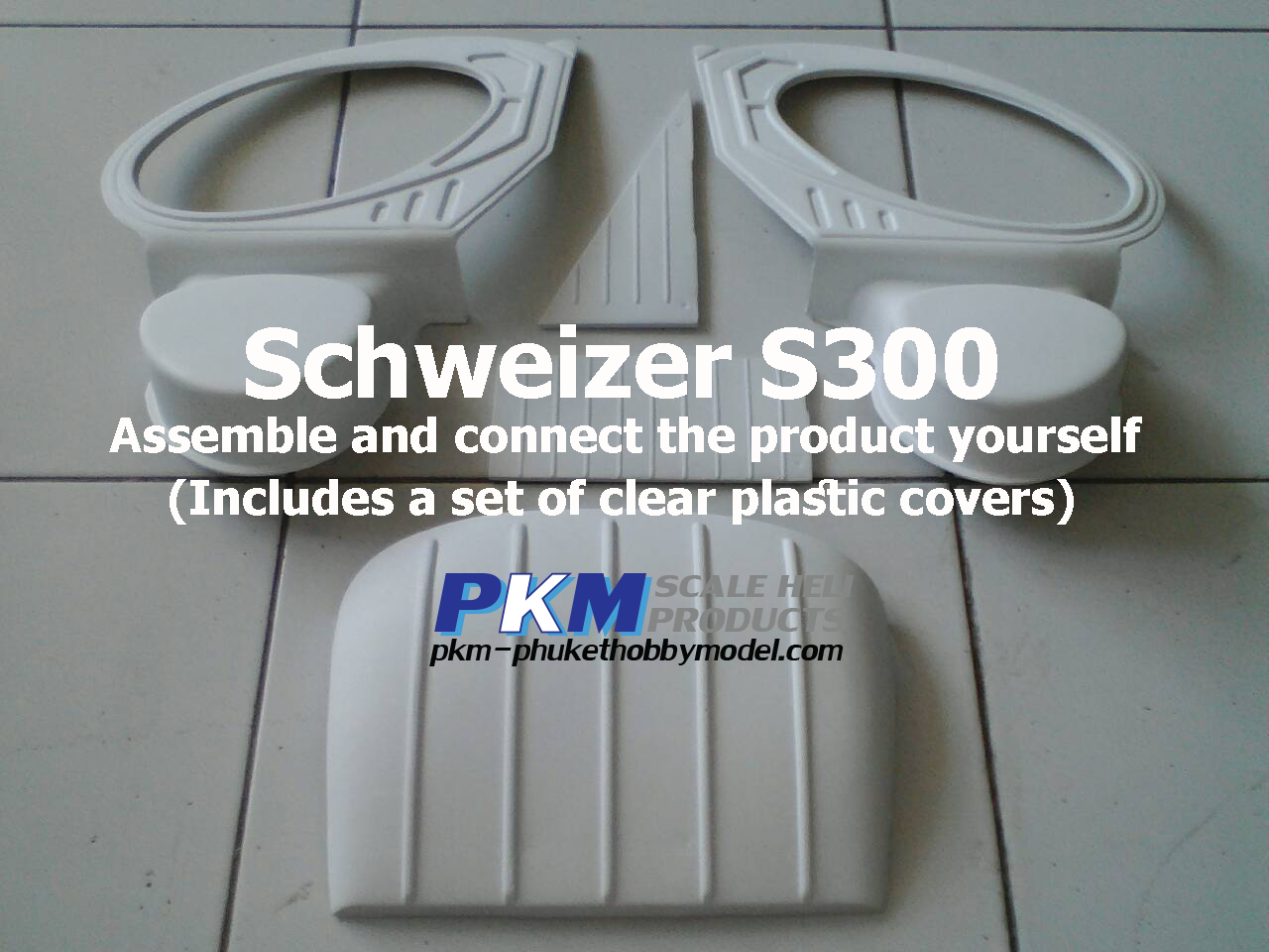 Schweizer S300